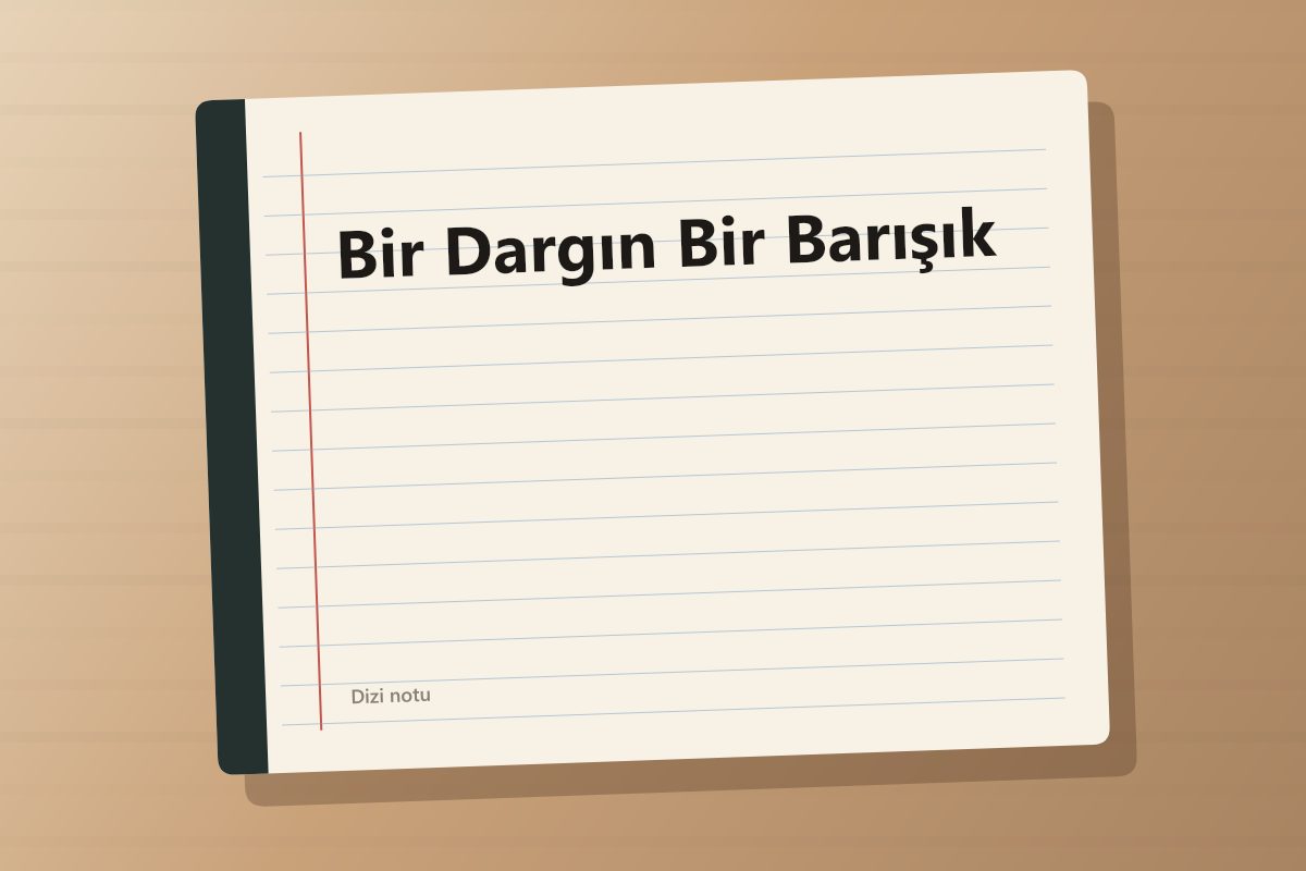 Bir Dargın Bir Barışık kapağı