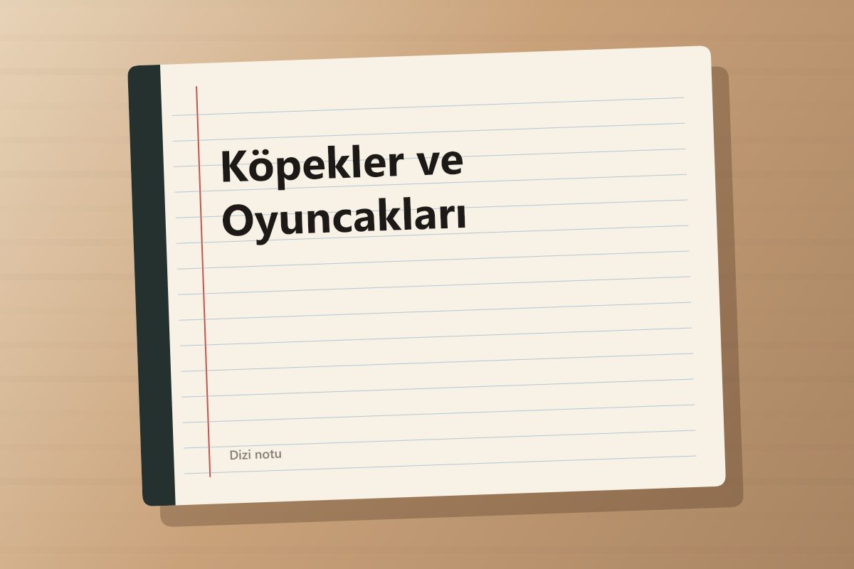 Köpekler ve Oyuncakları kapağı