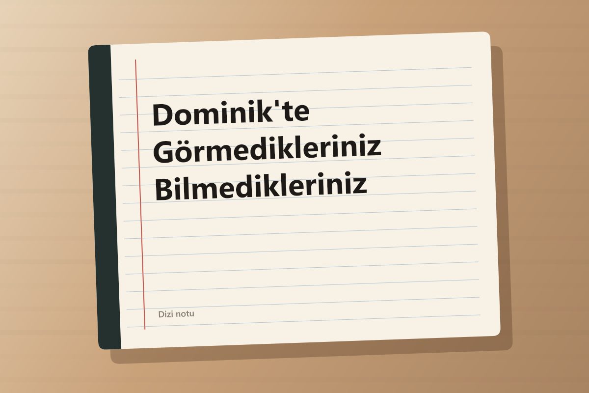 Dominik'te Görmedikleriniz Bilmedikleriniz kapağı