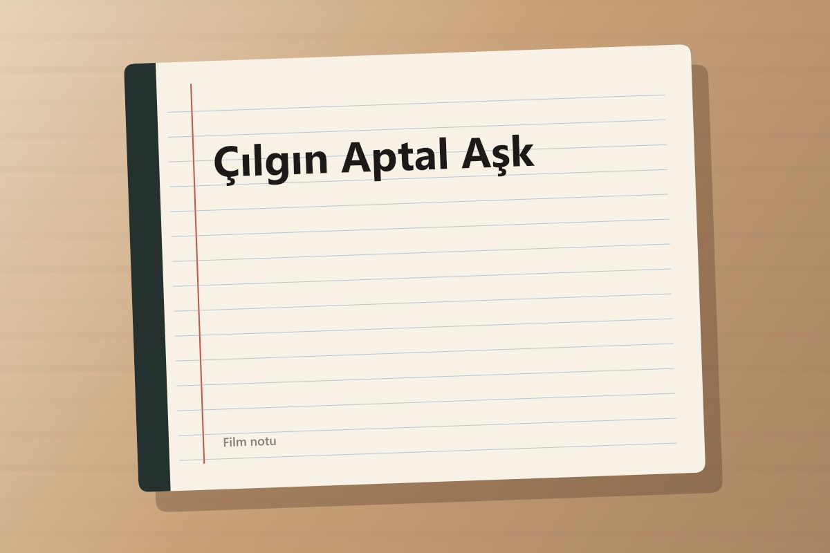 Çılgın Aptal Aşk kapağı